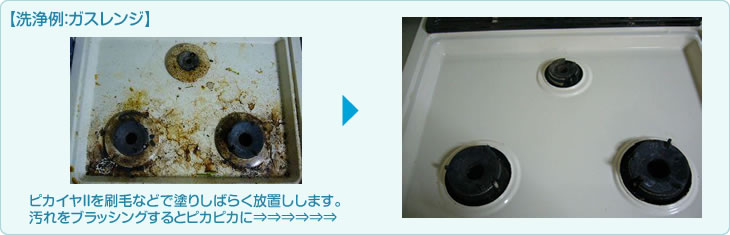 ピカイアの洗浄例