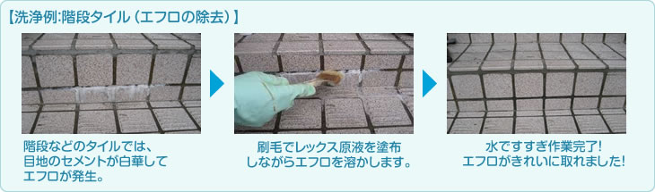 レックスの洗浄例