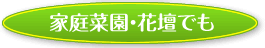 家庭菜園・花壇でも