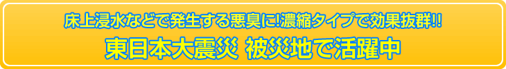 東日本大震災　被災地で活躍中